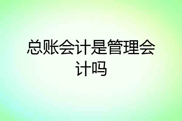 总账会计是管理会计吗