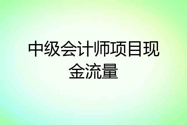 中级会计师项目现金流量
