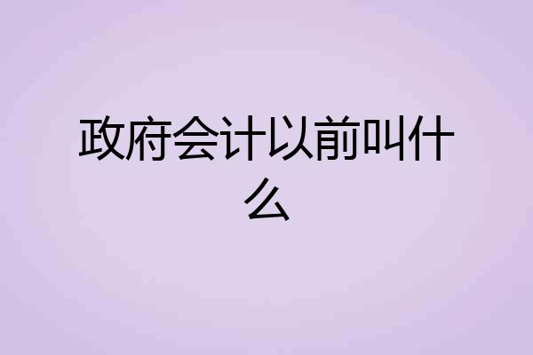 政府会计以前叫什么