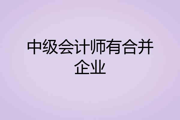 中级会计师有合并企业