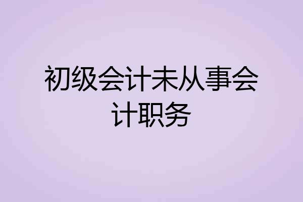 初级会计未从事会计职务