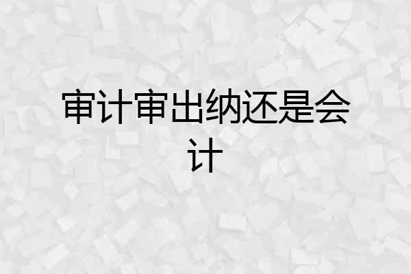 审计审出纳还是会计