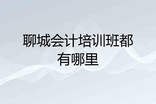 聊城会计培训班都有哪里