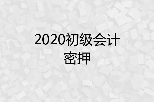 2020初级会计密押