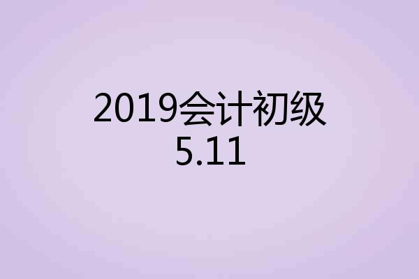 2019会计初级5.11