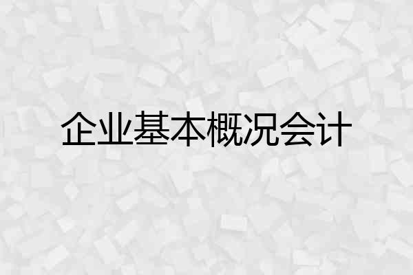 企业基本概况会计