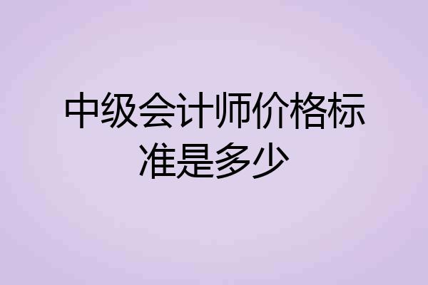 中级会计师价格标准是多少