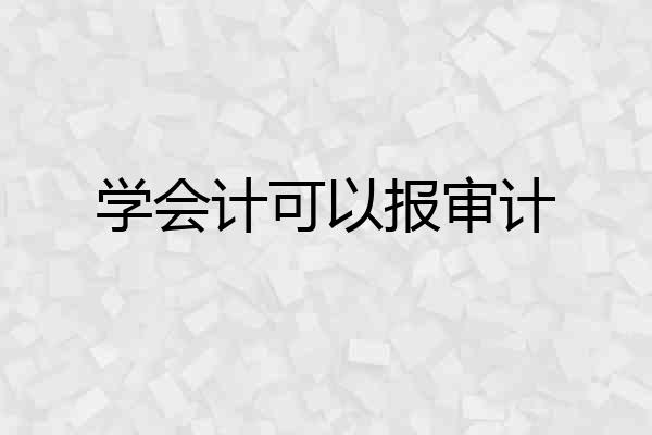 学会计可以报审计