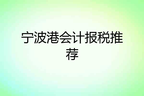 宁波港会计报税推荐