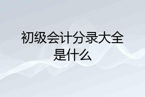 初级会计分录大全是什么