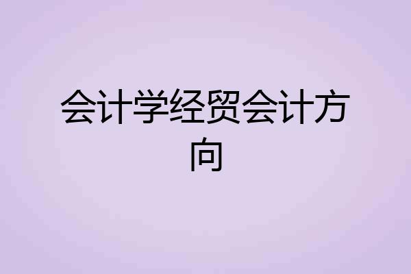 会计学经贸会计方向