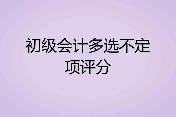 初级会计多选不定项评分