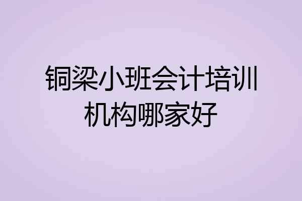 铜梁小班会计培训机构哪家好