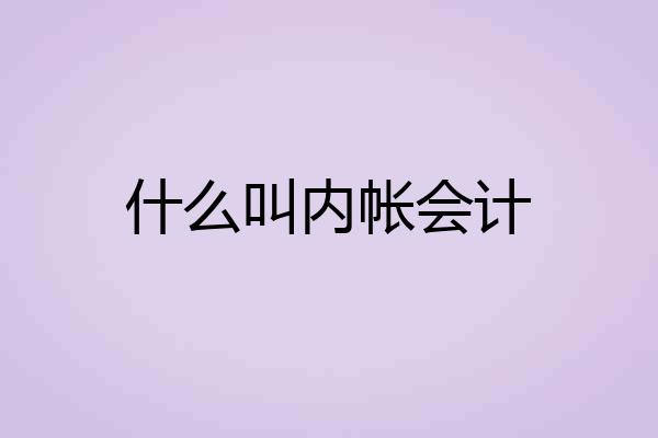 什么叫内帐会计