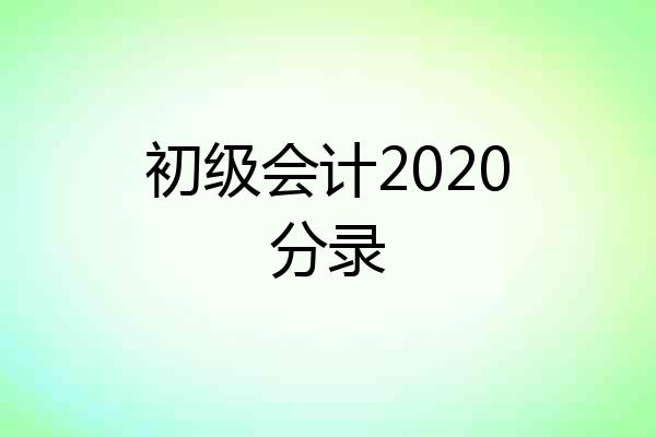 初级会计2020分录