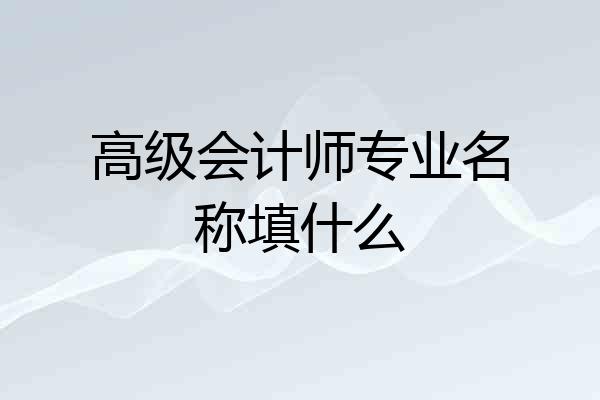 高级会计师专业名称填什么