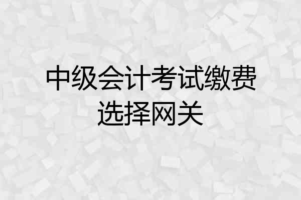 中级会计考试缴费选择网关