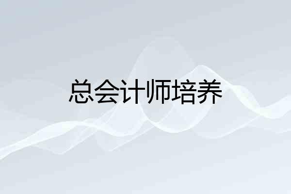 总会计师培养