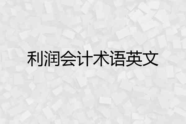 利润会计术语英文
