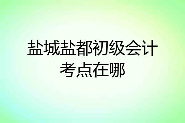盐城盐都初级会计考点在哪