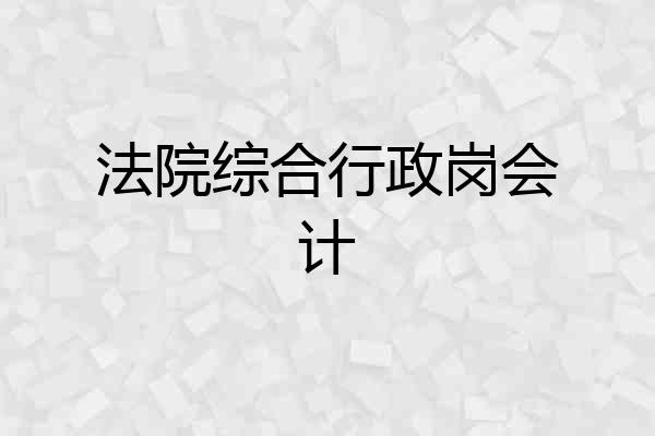 法院综合行政岗会计