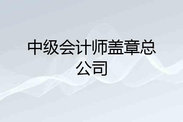 中级会计师盖章总公司