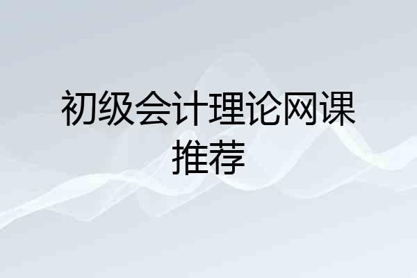 初级会计理论网课推荐
