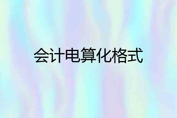 会计电算化格式