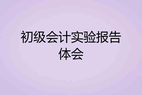 初级会计实验报告体会