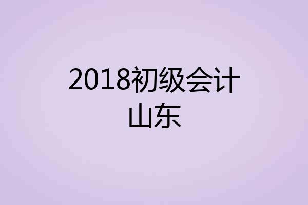 2018初级会计山东
