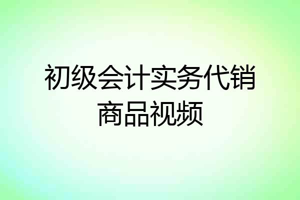 初级会计实务代销商品视频