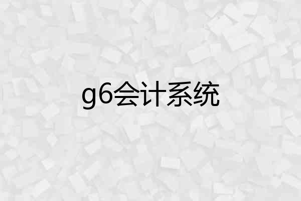 g6会计系统