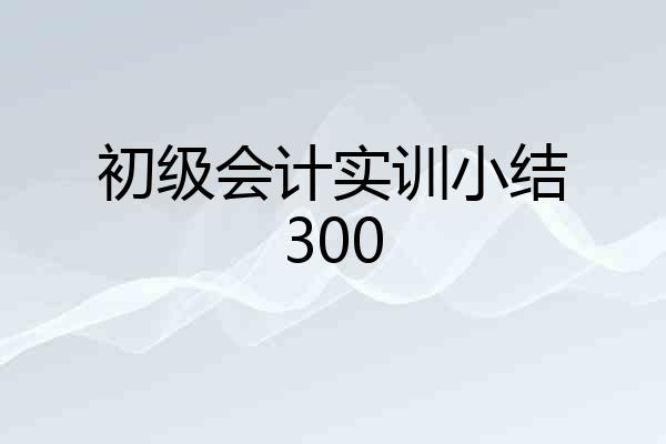 初级会计实训小结300