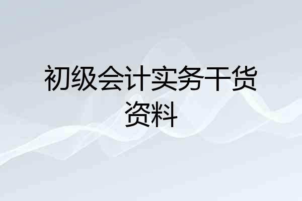 初级会计实务干货资料