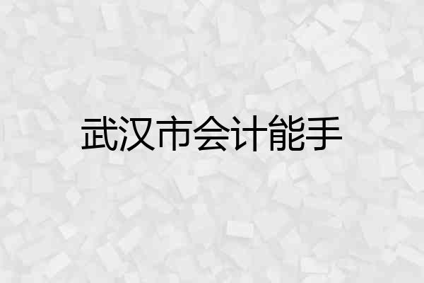 武汉市会计能手