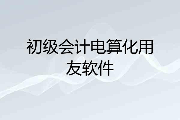 初级会计电算化用友软件