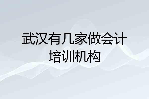 武汉有几家做会计培训机构