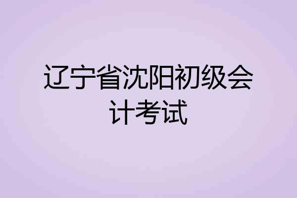 辽宁省沈阳初级会计考试