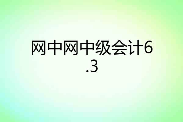 网中网中级会计6.3