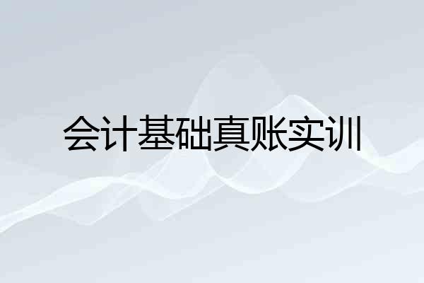 会计基础真账实训