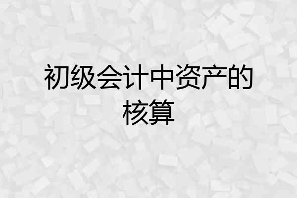 初级会计中资产的核算