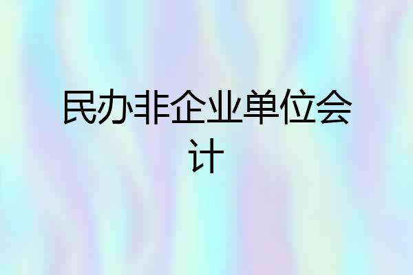 民办非企业单位会计