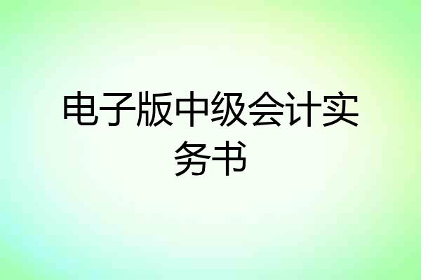 电子版中级会计实务书