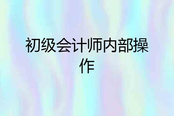 初级会计师内部操作
