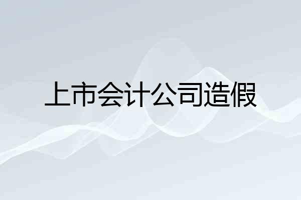 上市会计公司造假