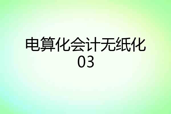 电算化会计无纸化03