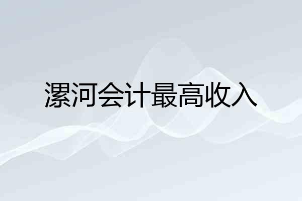 漯河会计最高收入