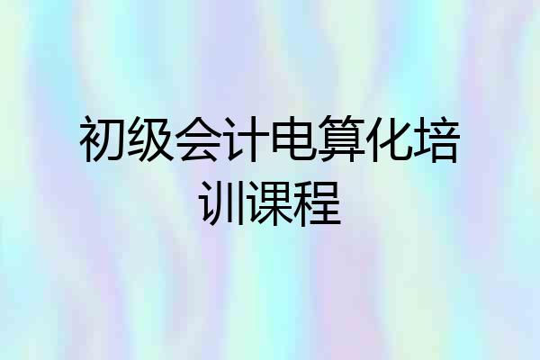 初级会计电算化培训课程