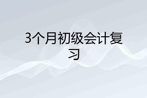 3个月初级会计复习