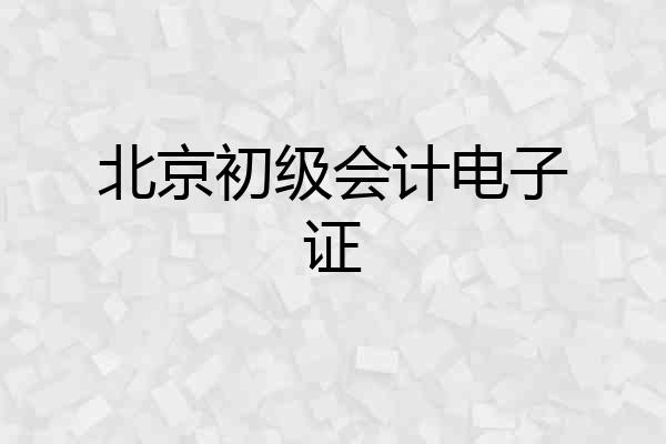 北京初级会计电子证